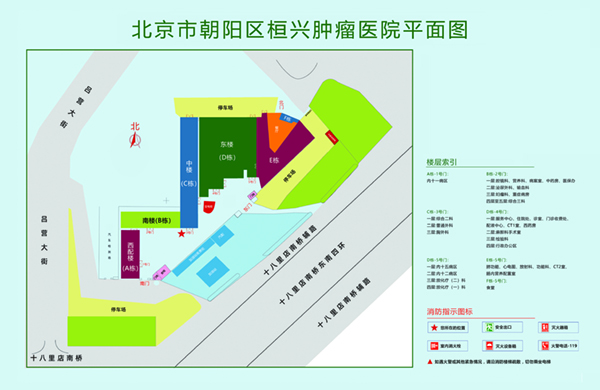 被cao得好爽北京市朝阳区桓兴肿瘤医院平面图